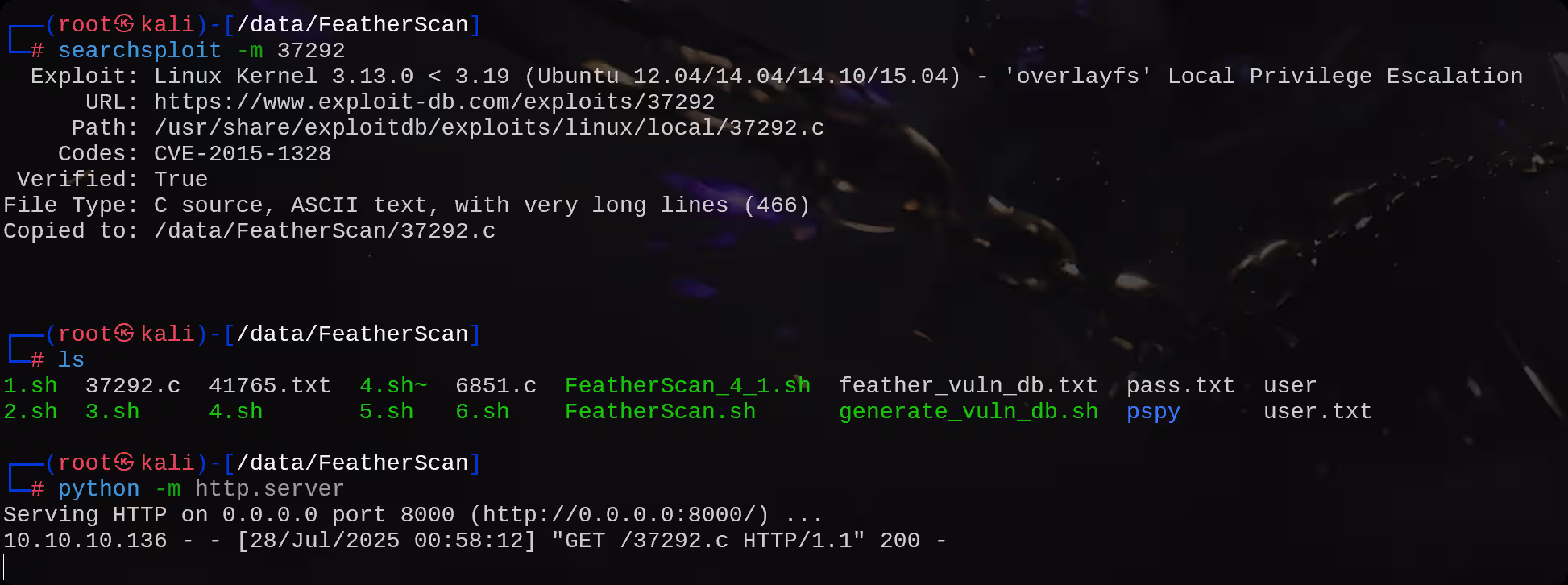 image-20250728130008318