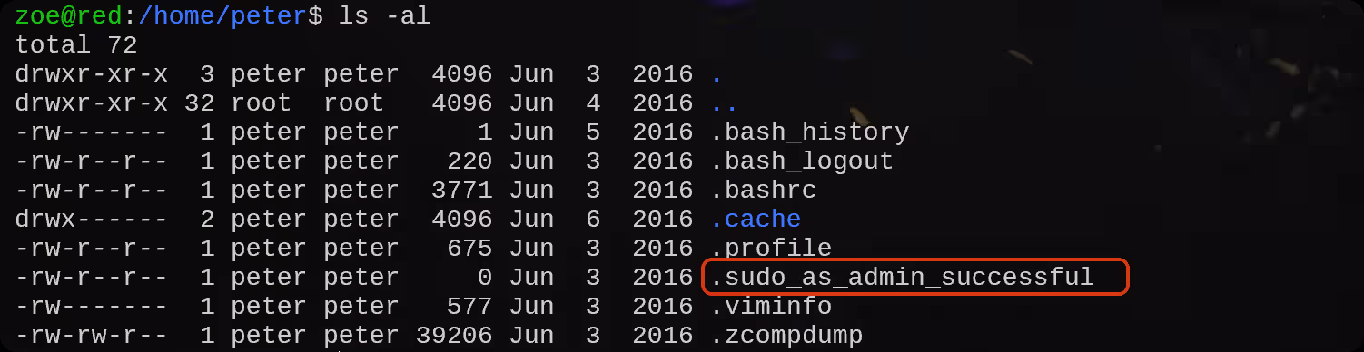 image-20250811160232433