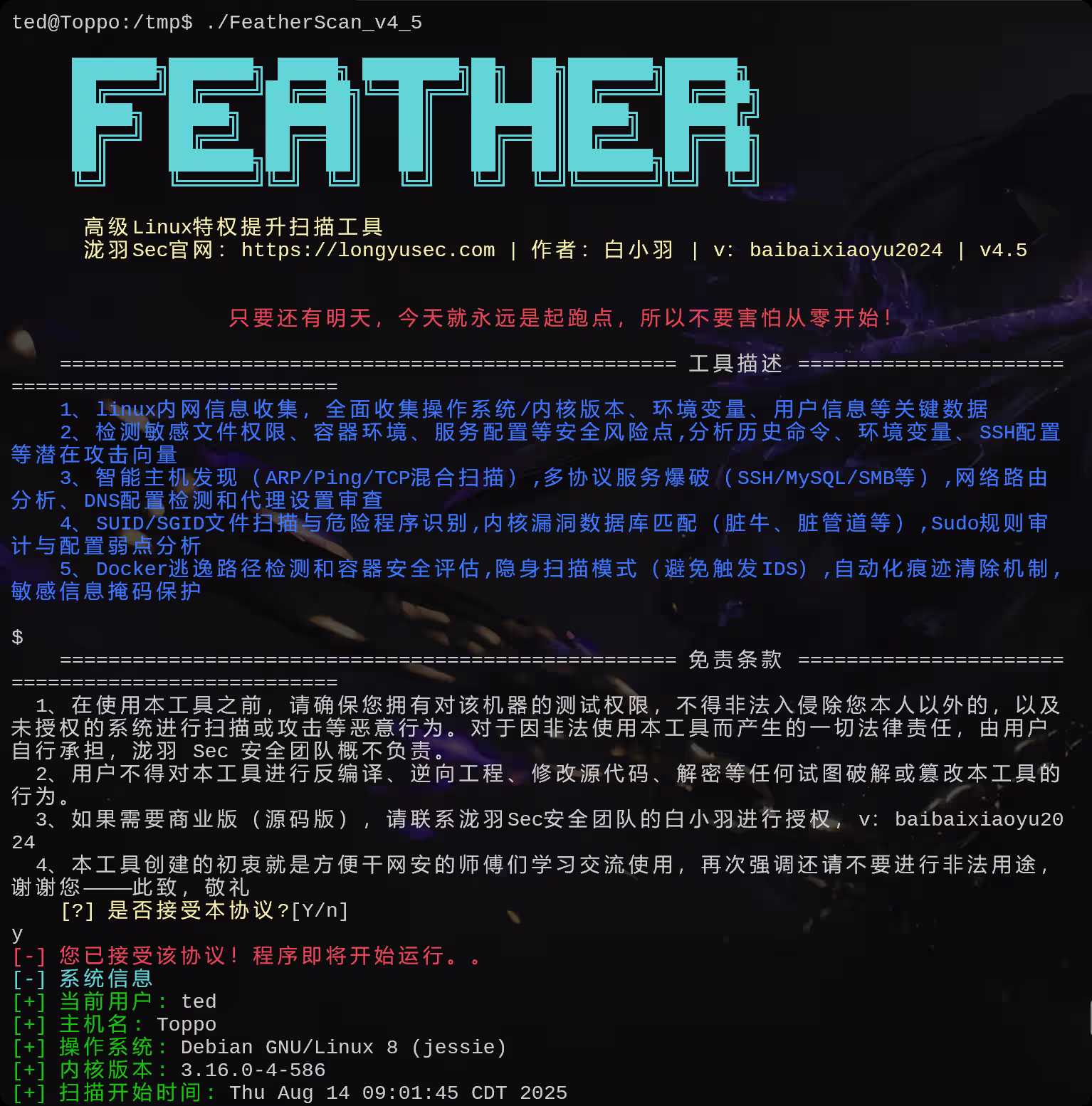 image-20250814140403074