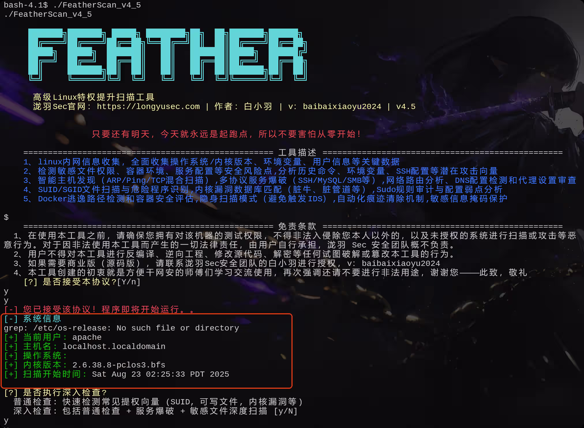 image-20250826165534112