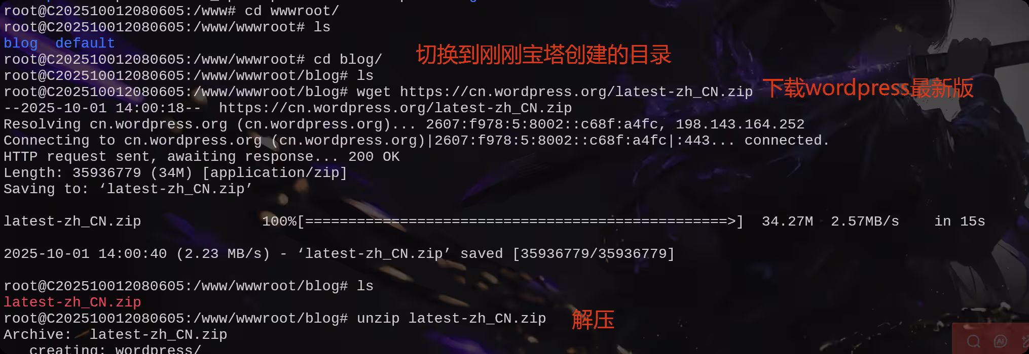 image-20251001220228994
