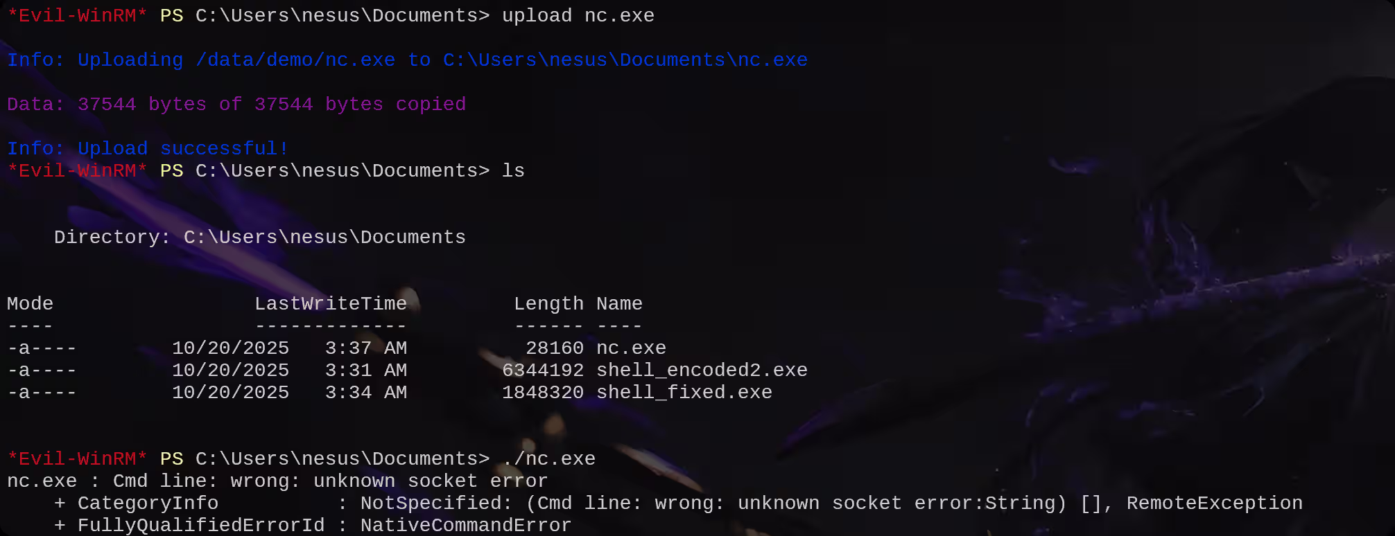 image-20251020184118341