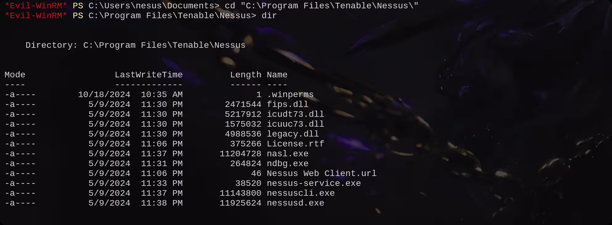 image-20251020194412017