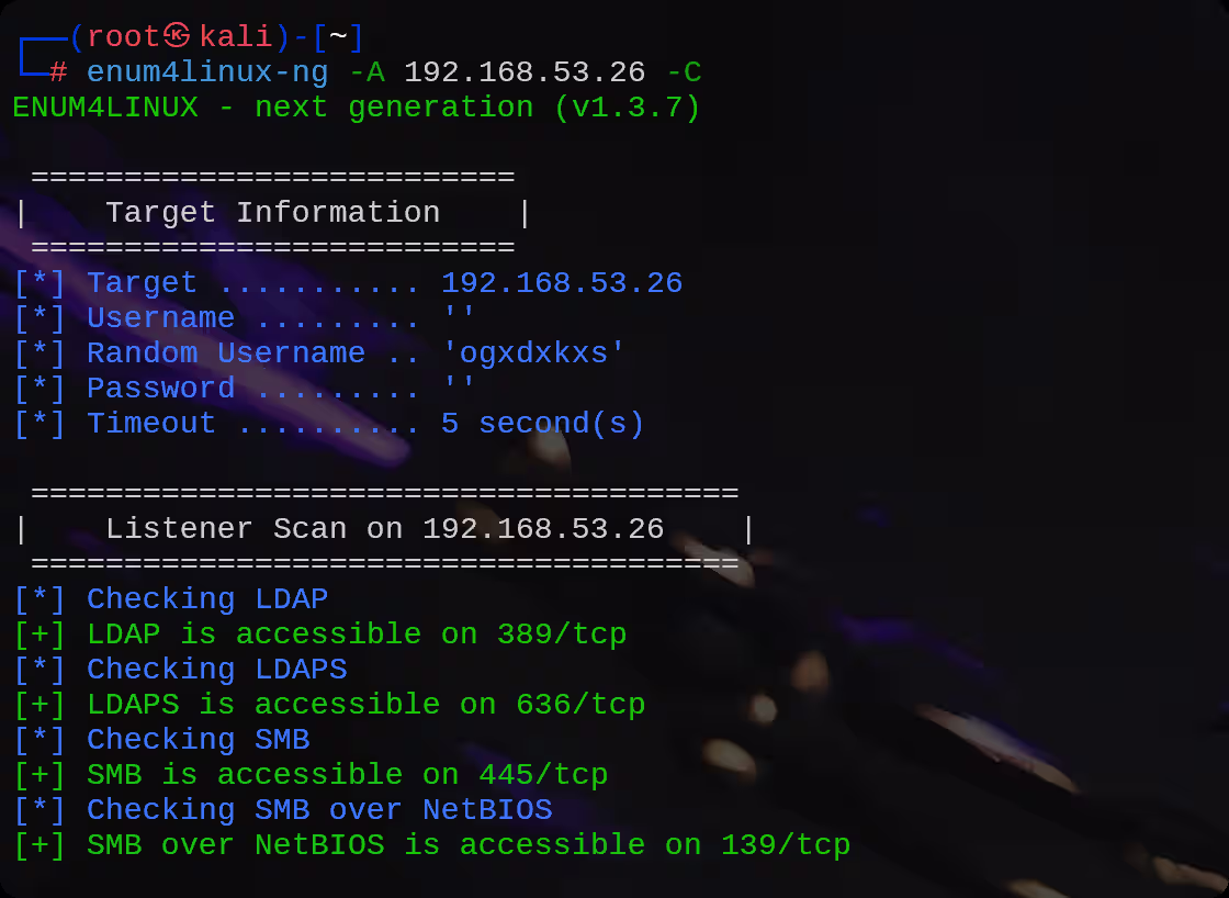 image-20251023113555803
