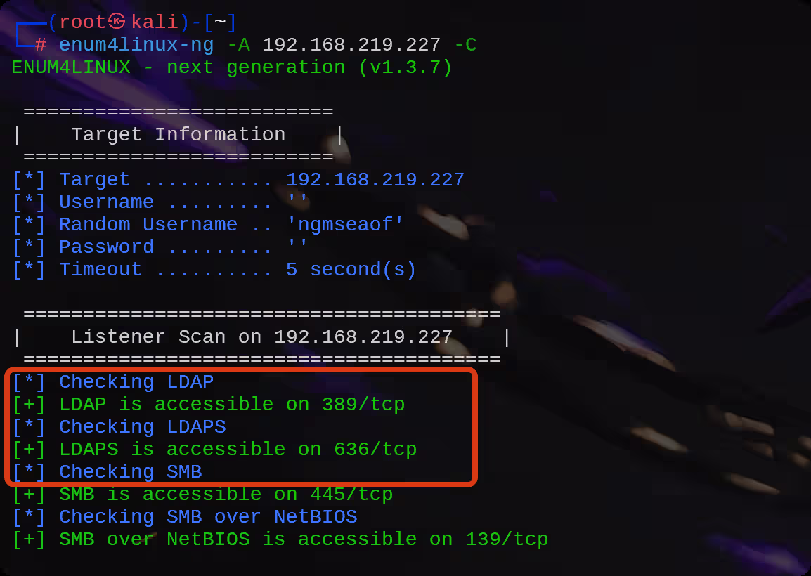 image-20251024134307640