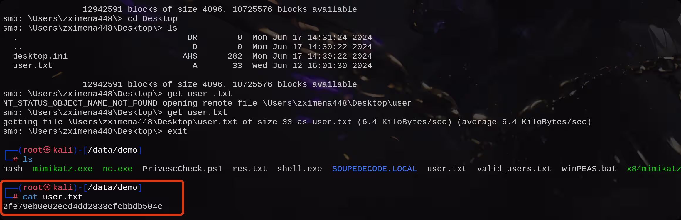 image-20251024192113529