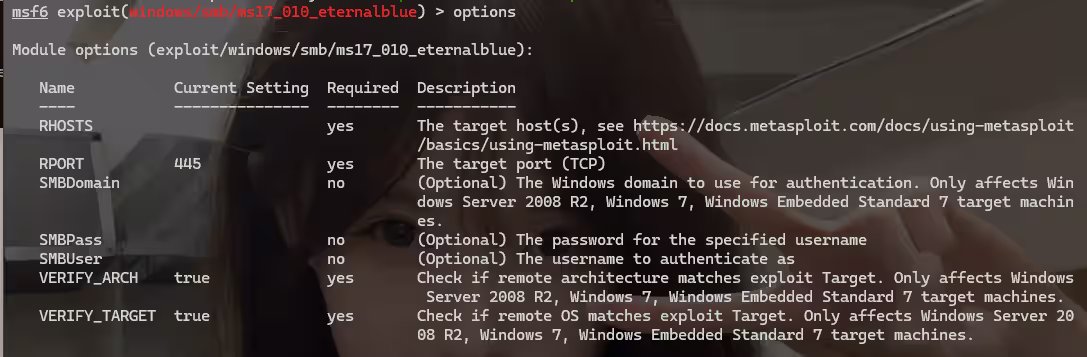 image-20251107133408405