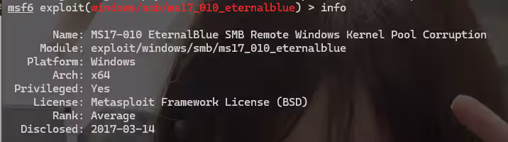 image-20251107133410733