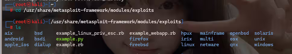 Metasploit Framework (MSF) 使用指南-泷羽Sec